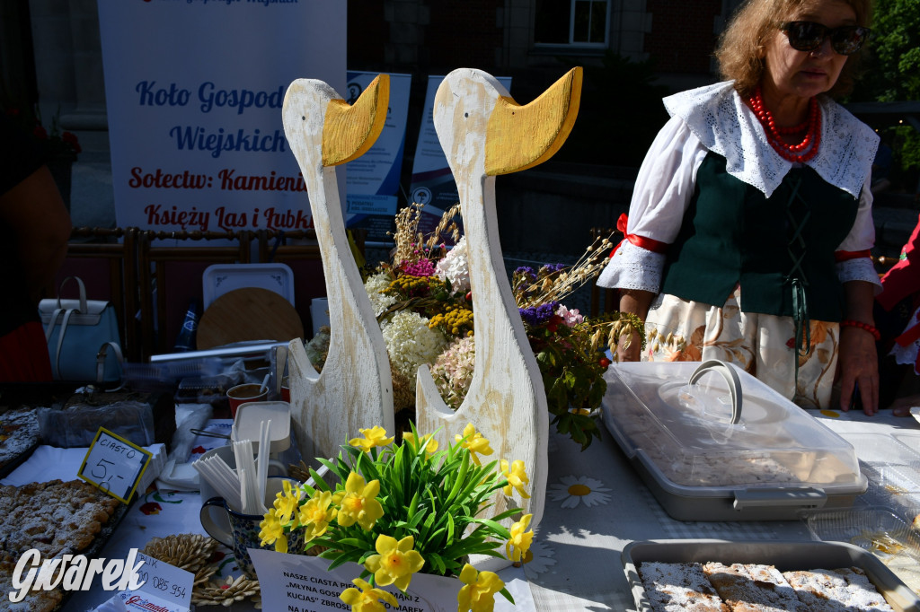 Świerklaniec. Dożynki w parku, pyszności przed pałacem
