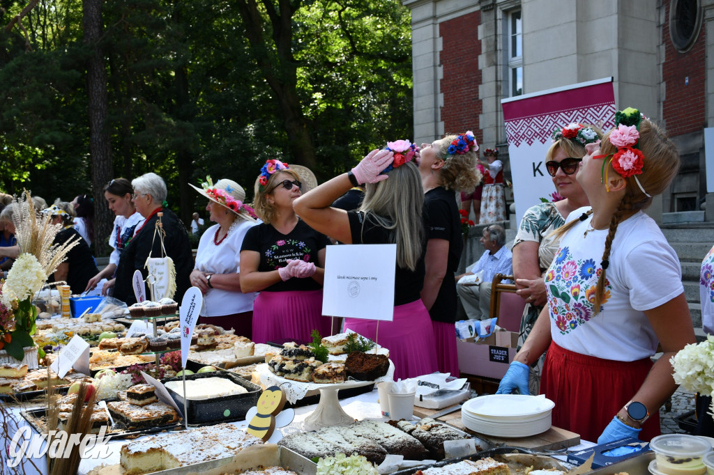 Świerklaniec. Dożynki w parku, pyszności przed pałacem