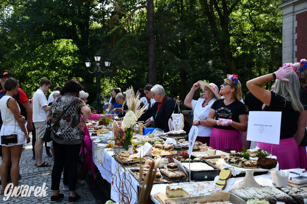 Świerklaniec. Dożynki w parku, pyszności przed pałacem