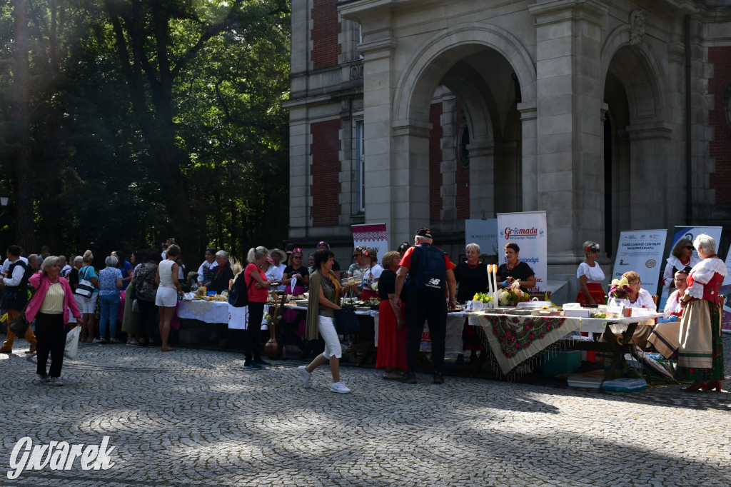 Świerklaniec. Dożynki w parku, pyszności przed pałacem
