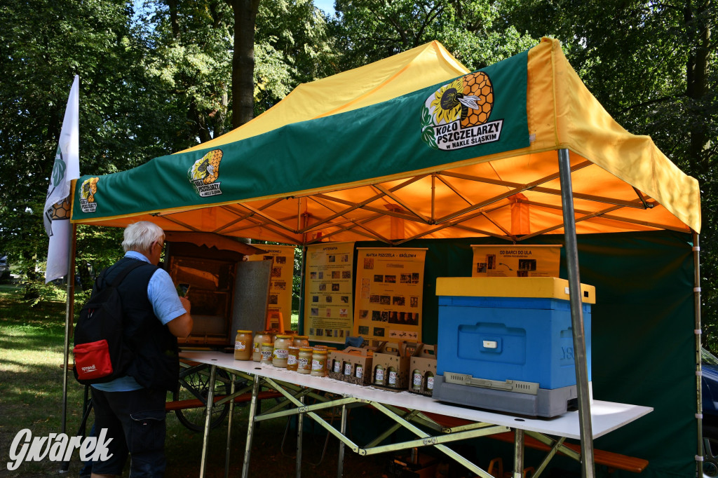 Świerklaniec. Dożynki w parku, pyszności przed pałacem