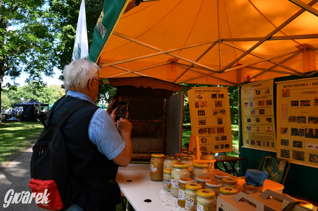 Świerklaniec. Dożynki w parku, pyszności przed pałacem