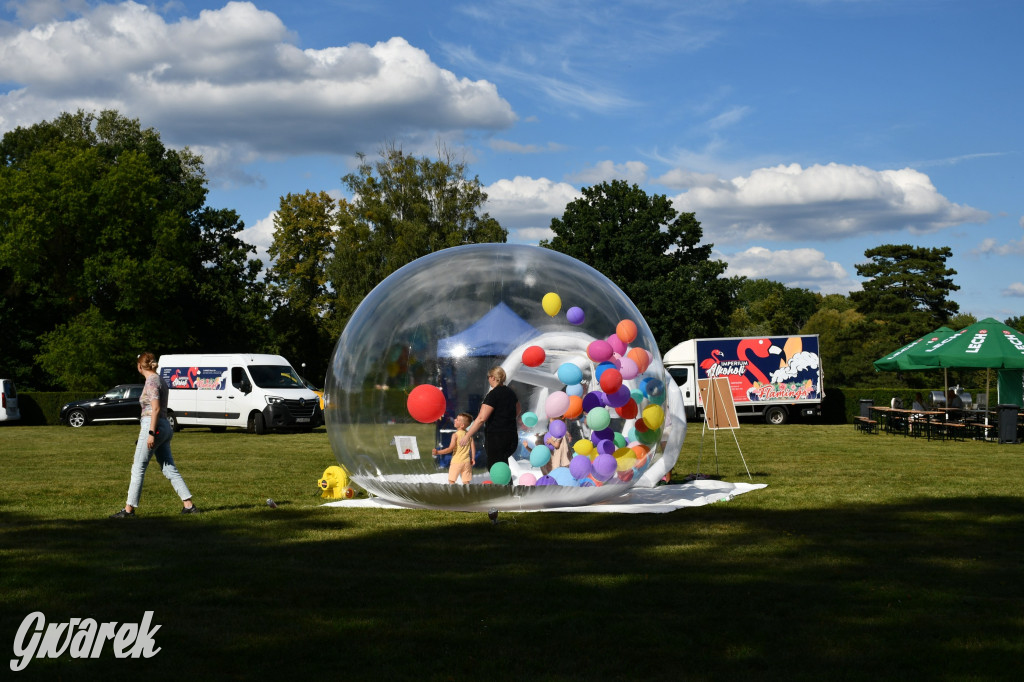 Świerklaniec. Dożynki w parku, pyszności przed pałacem