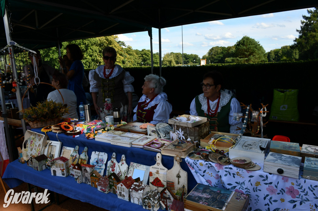 Świerklaniec. Dożynki w parku, pyszności przed pałacem