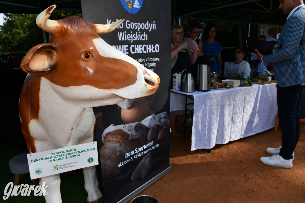 Świerklaniec. Dożynki w parku, pyszności przed pałacem