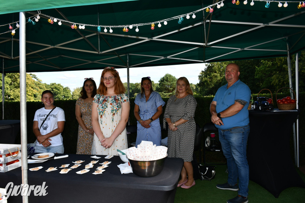 Świerklaniec. Dożynki w parku, pyszności przed pałacem