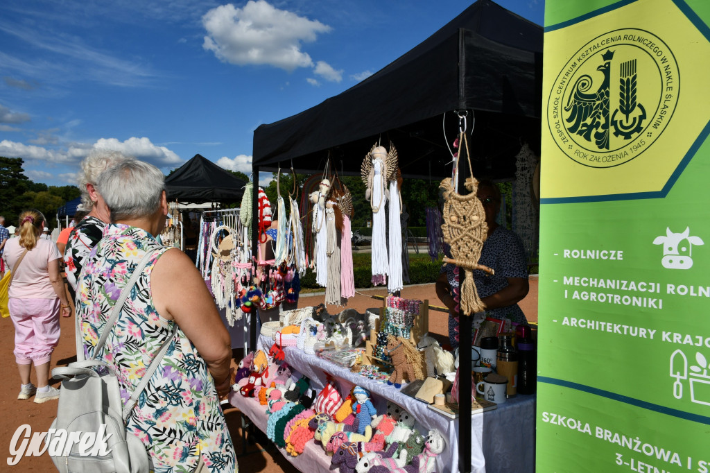 Świerklaniec. Dożynki w parku, pyszności przed pałacem