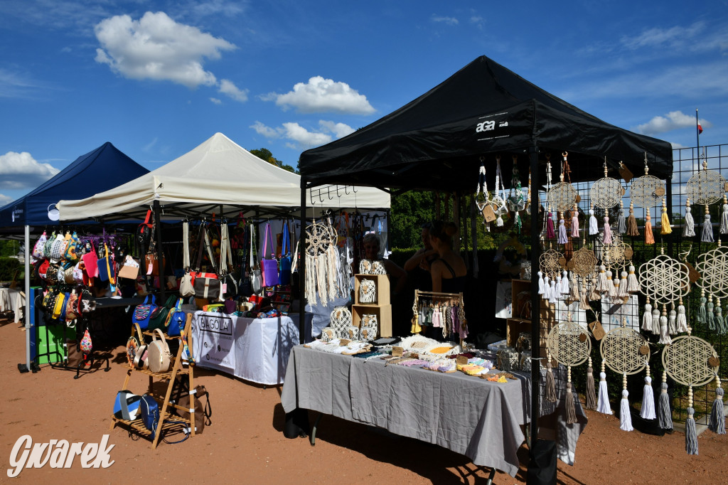 Świerklaniec. Dożynki w parku, pyszności przed pałacem