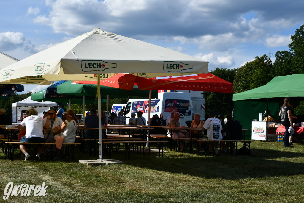 Świerklaniec. Dożynki w parku, pyszności przed pałacem