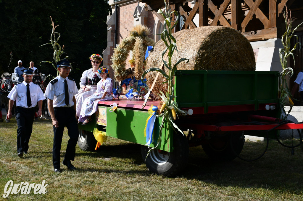 Świerklaniec. Dożynki w parku, pyszności przed pałacem
