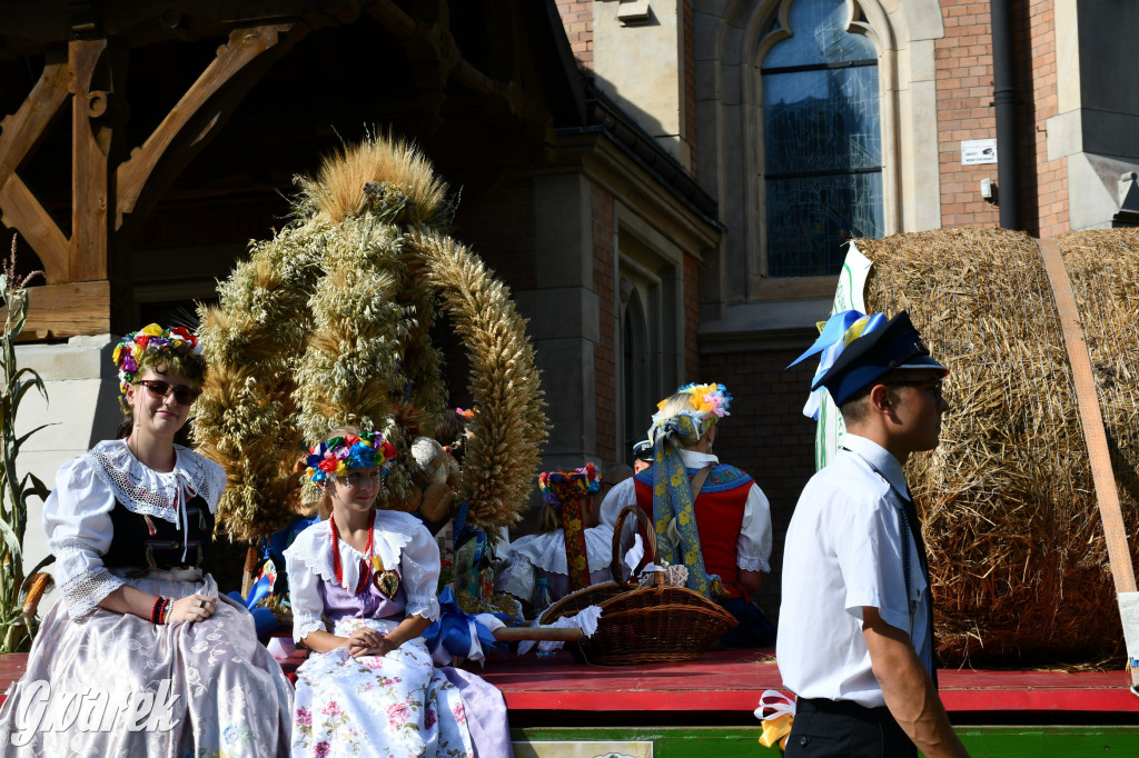 Świerklaniec. Dożynki w parku, pyszności przed pałacem