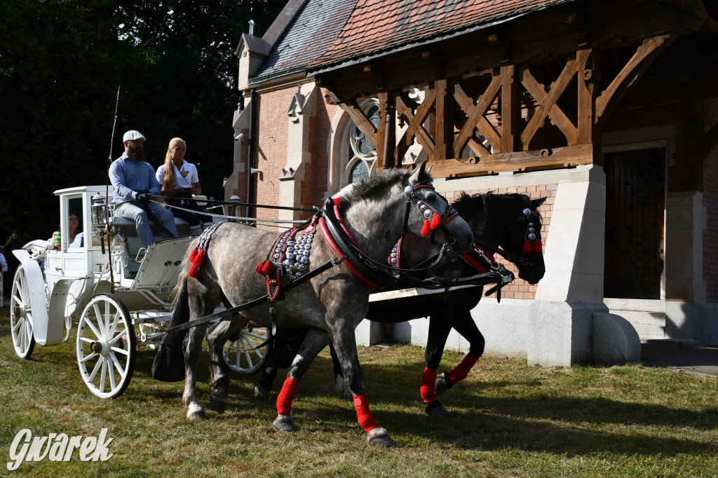 Świerklaniec. Dożynki w parku, pyszności przed pałacem