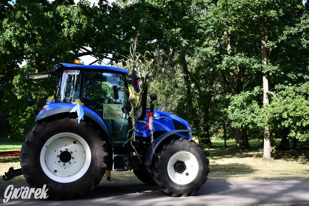 Świerklaniec. Dożynki w parku, pyszności przed pałacem