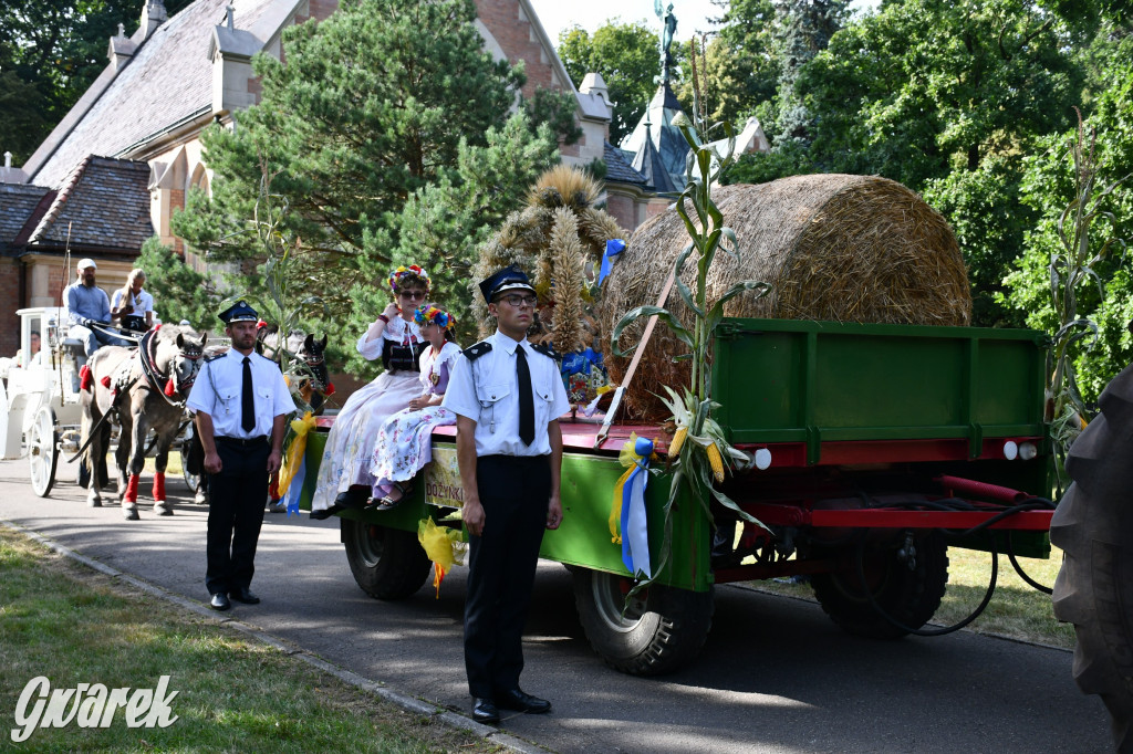 Świerklaniec. Dożynki w parku, pyszności przed pałacem
