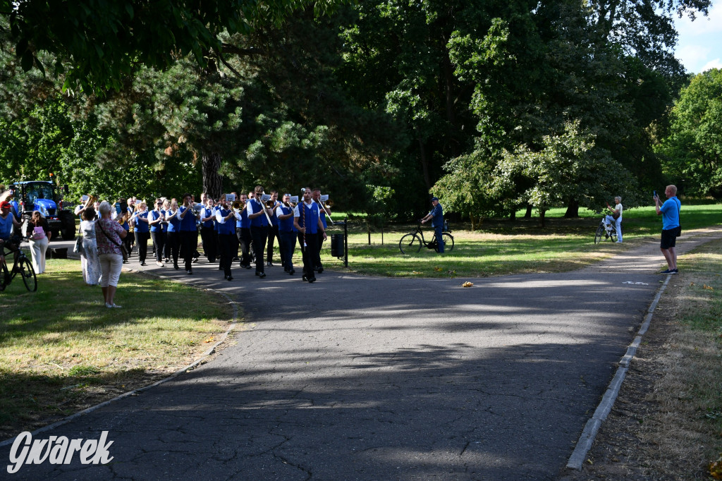 Świerklaniec. Dożynki w parku, pyszności przed pałacem