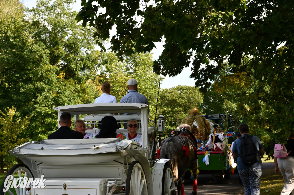 Świerklaniec. Dożynki w parku, pyszności przed pałacem