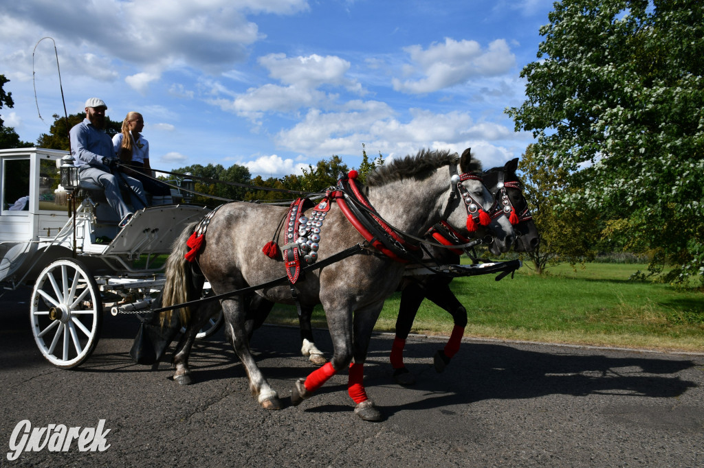 Świerklaniec. Dożynki w parku, pyszności przed pałacem