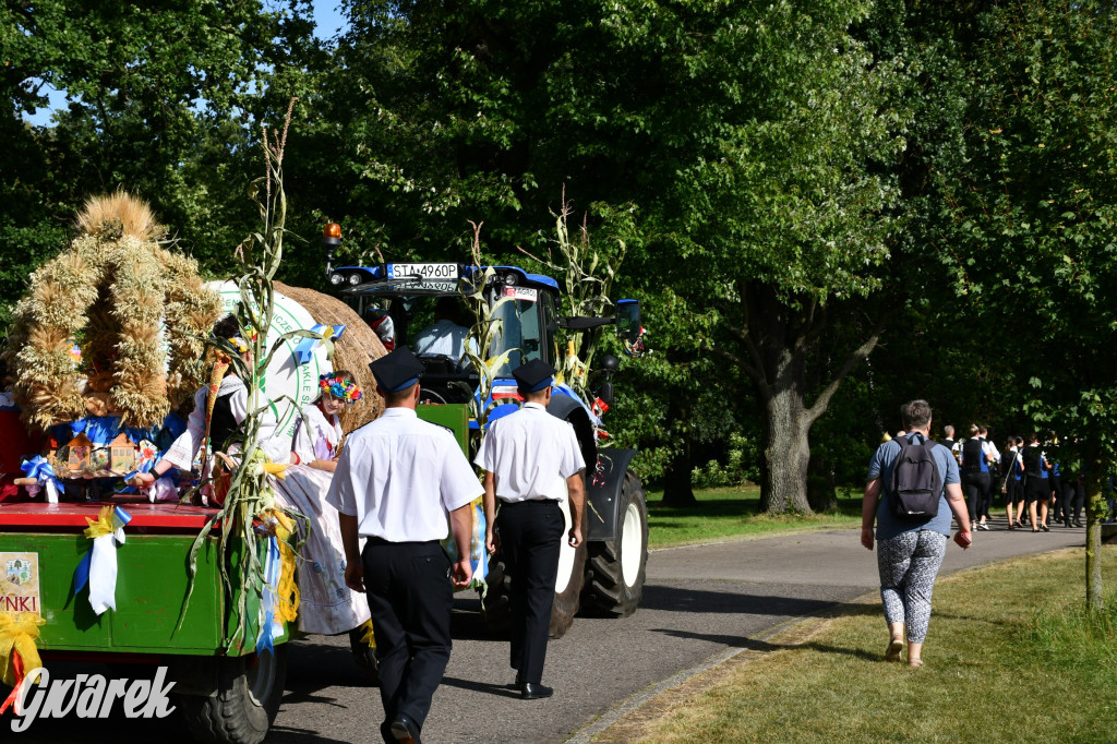 Świerklaniec. Dożynki w parku, pyszności przed pałacem