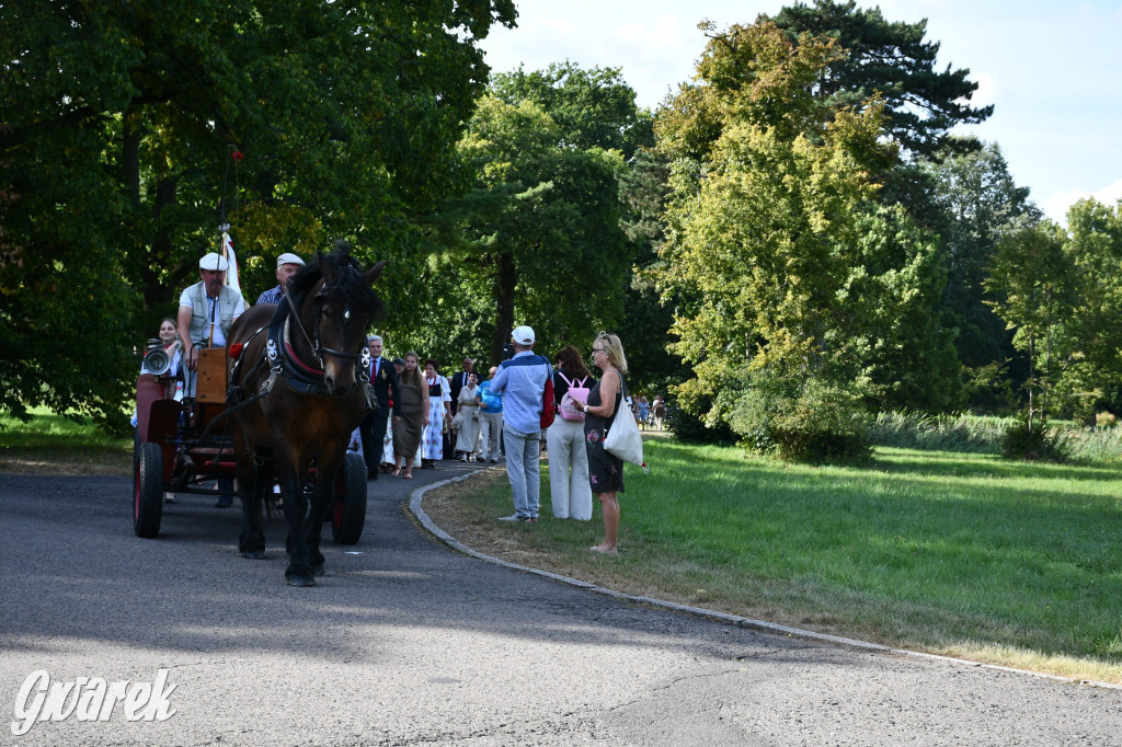 Świerklaniec. Dożynki w parku, pyszności przed pałacem