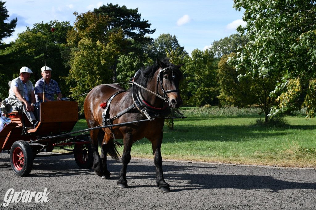 Świerklaniec. Dożynki w parku, pyszności przed pałacem