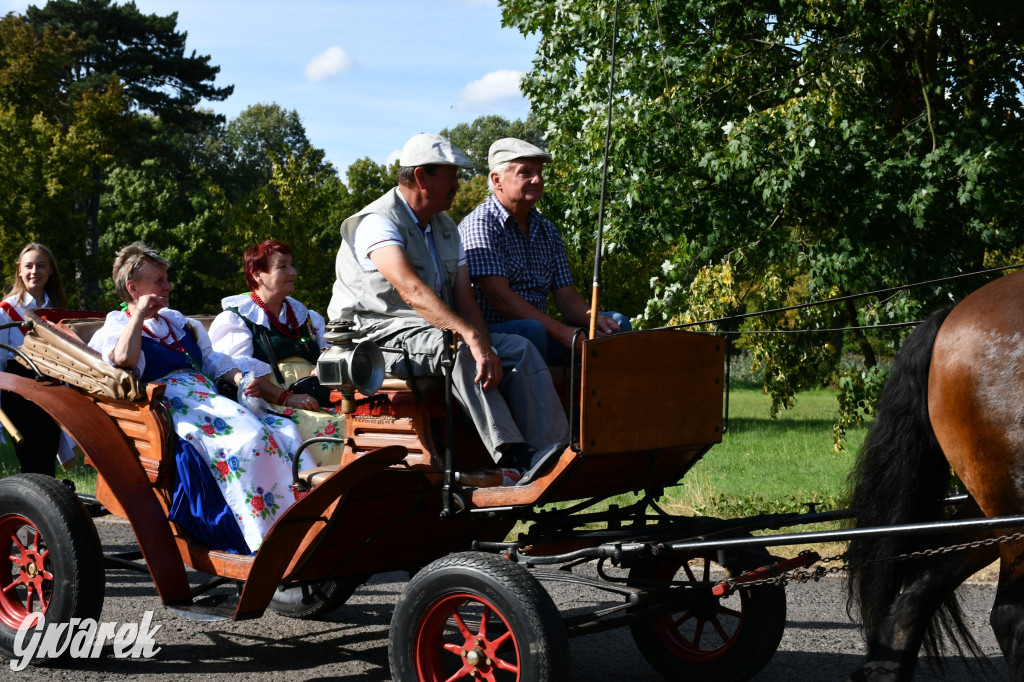 Świerklaniec. Dożynki w parku, pyszności przed pałacem