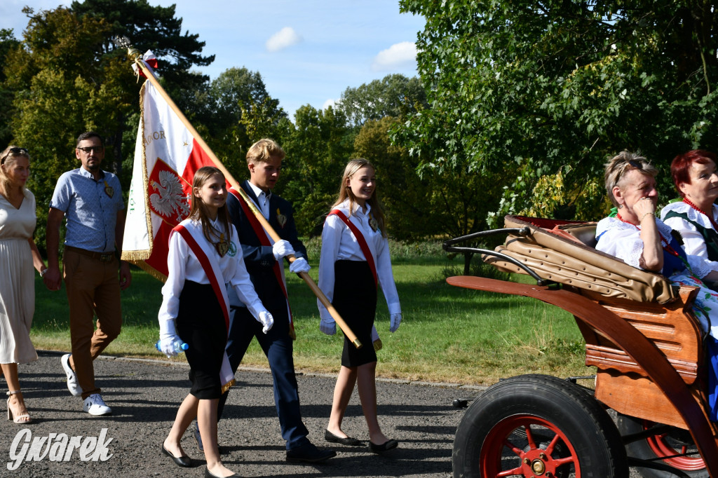 Świerklaniec. Dożynki w parku, pyszności przed pałacem
