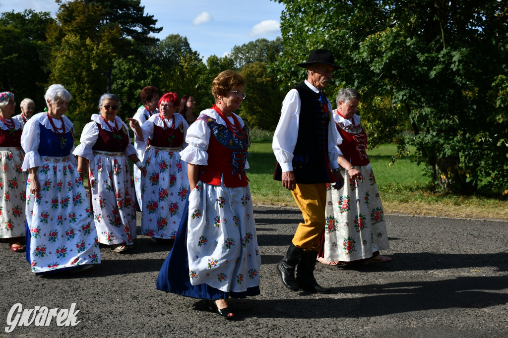 Świerklaniec. Dożynki w parku, pyszności przed pałacem