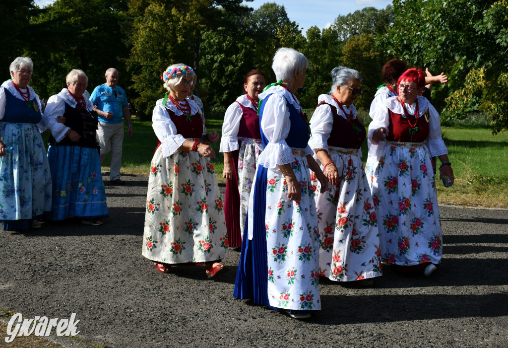 Świerklaniec. Dożynki w parku, pyszności przed pałacem