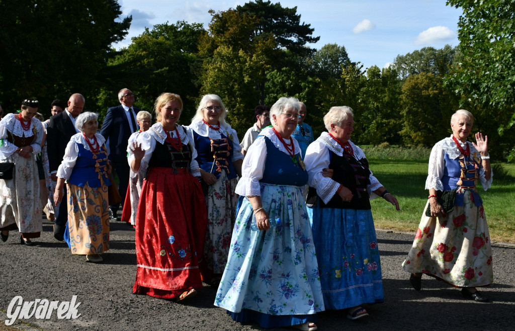 Świerklaniec. Dożynki w parku, pyszności przed pałacem