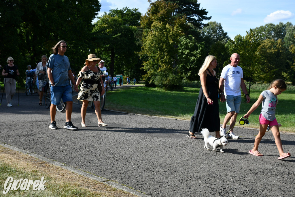 Świerklaniec. Dożynki w parku, pyszności przed pałacem