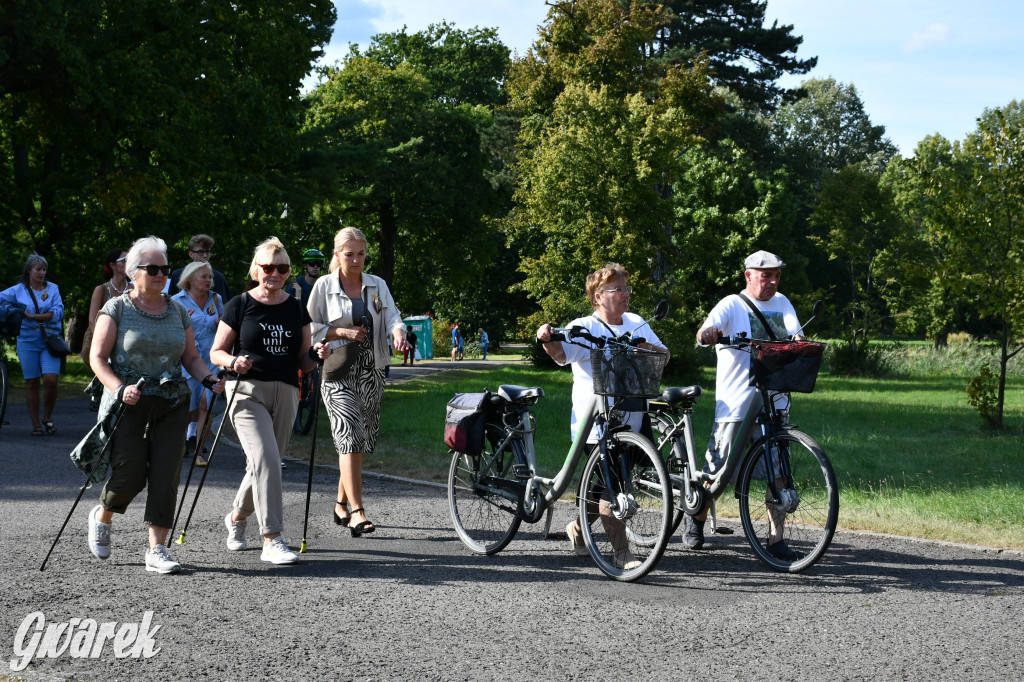 Świerklaniec. Dożynki w parku, pyszności przed pałacem