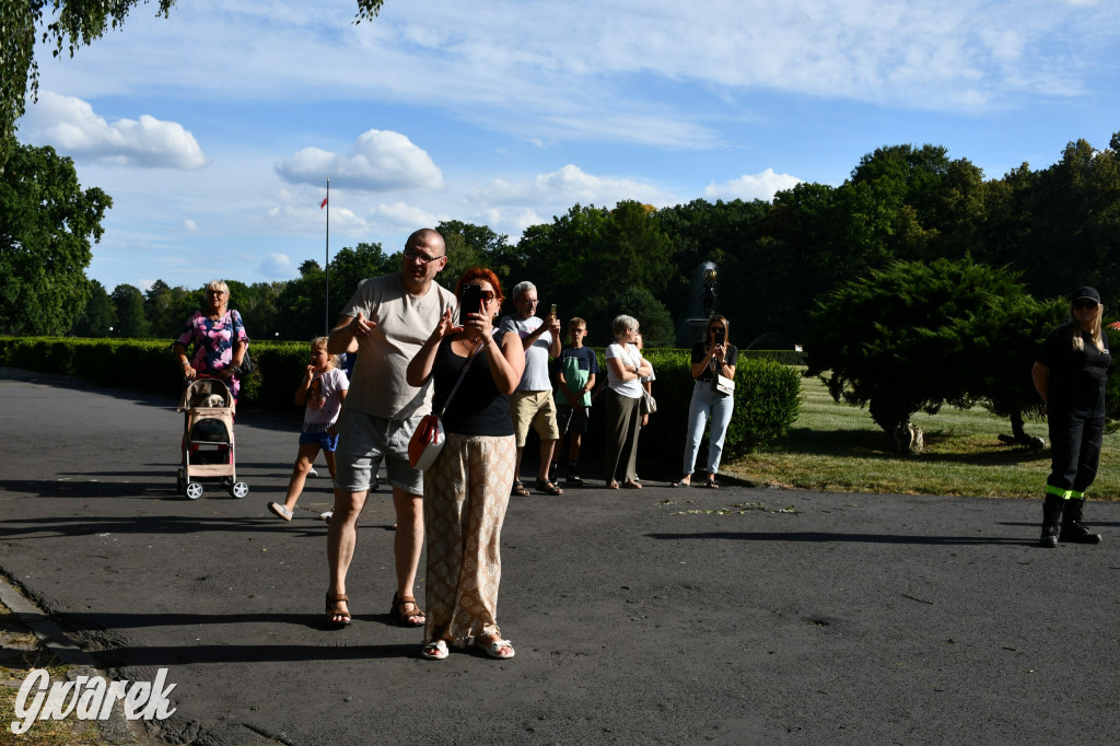 Świerklaniec. Dożynki w parku, pyszności przed pałacem