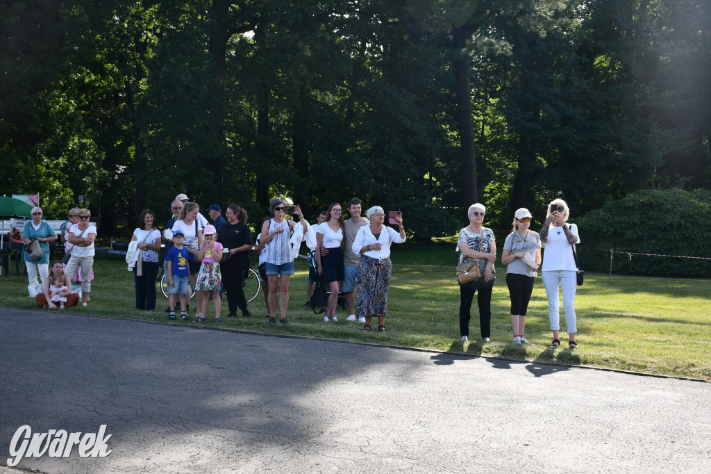 Świerklaniec. Dożynki w parku, pyszności przed pałacem