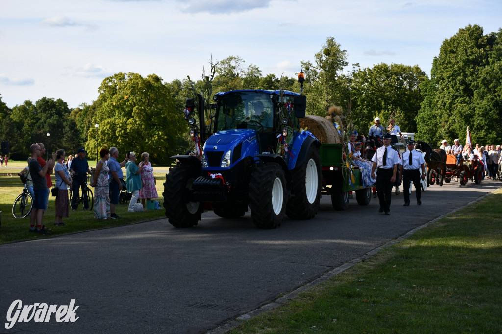 Świerklaniec. Dożynki w parku, pyszności przed pałacem