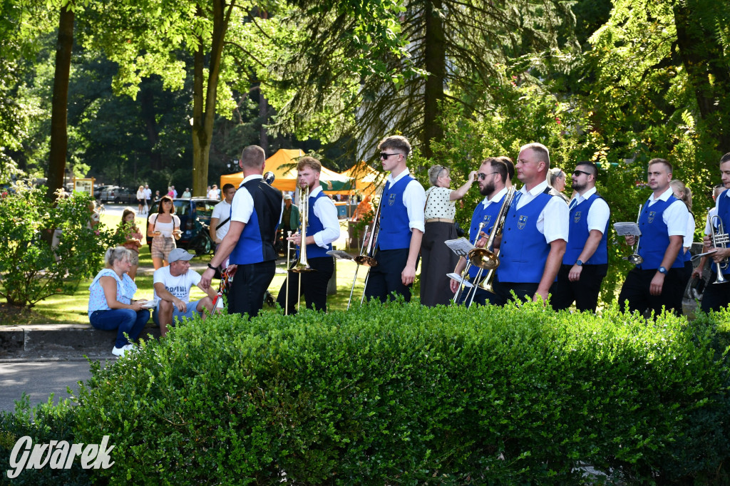 Świerklaniec. Dożynki w parku, pyszności przed pałacem