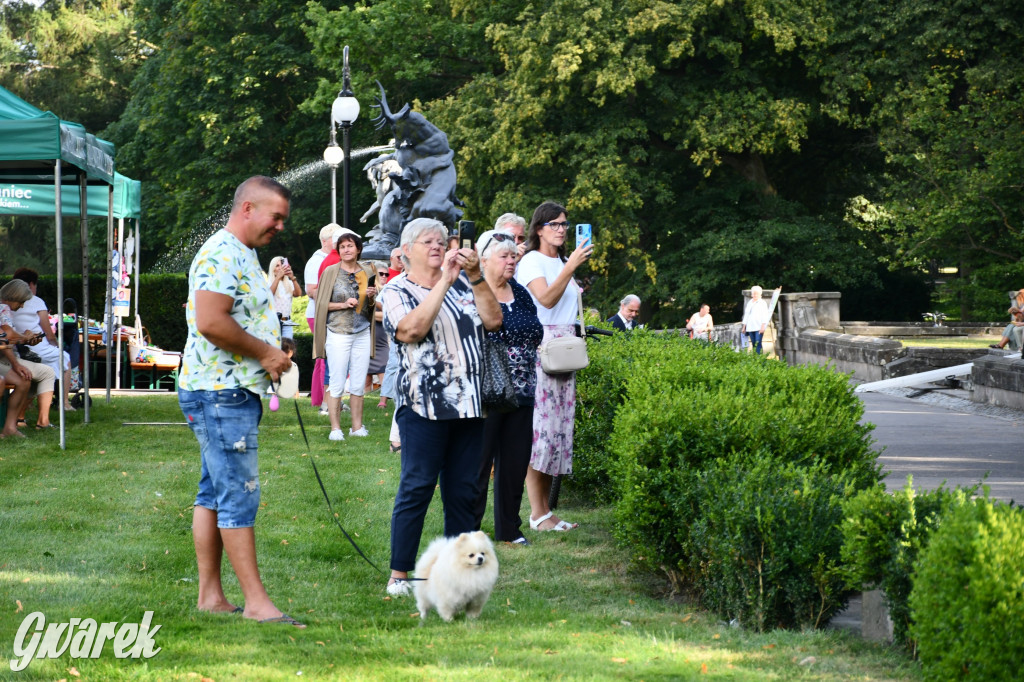 Świerklaniec. Dożynki w parku, pyszności przed pałacem