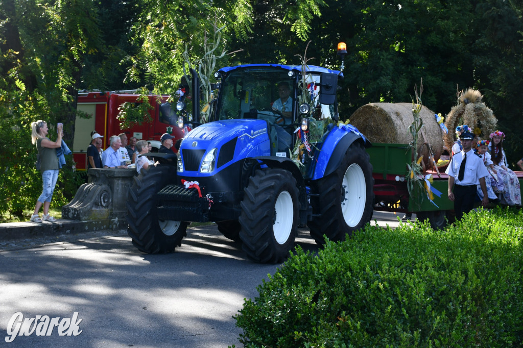 Świerklaniec. Dożynki w parku, pyszności przed pałacem