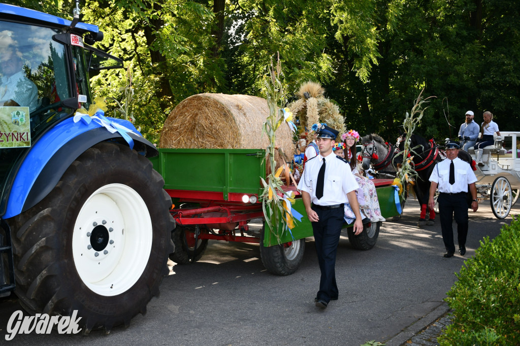 Świerklaniec. Dożynki w parku, pyszności przed pałacem
