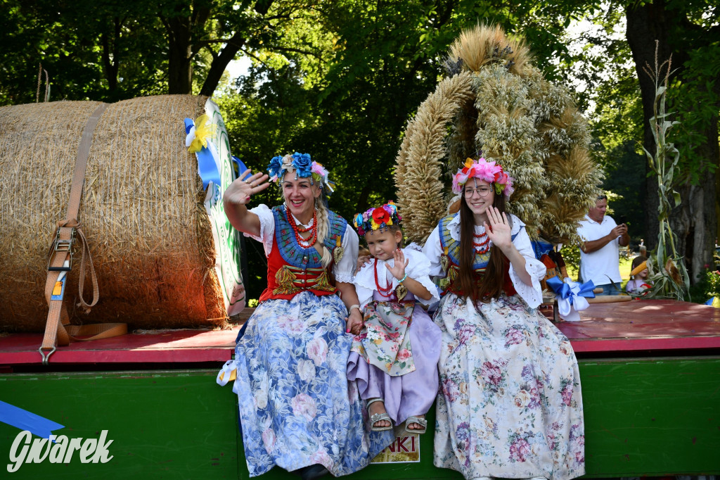 Świerklaniec. Dożynki w parku, pyszności przed pałacem