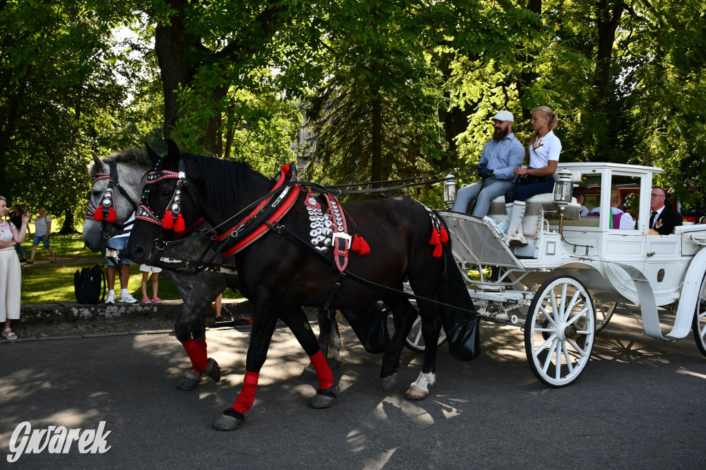 Świerklaniec. Dożynki w parku, pyszności przed pałacem
