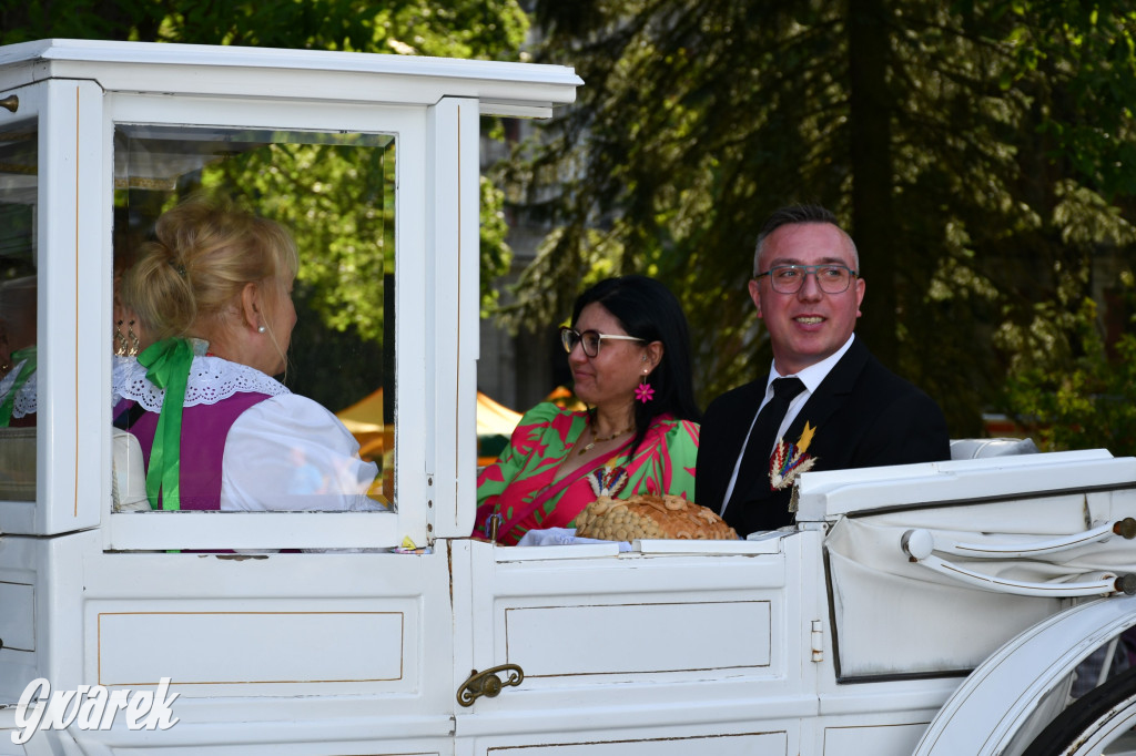 Świerklaniec. Dożynki w parku, pyszności przed pałacem
