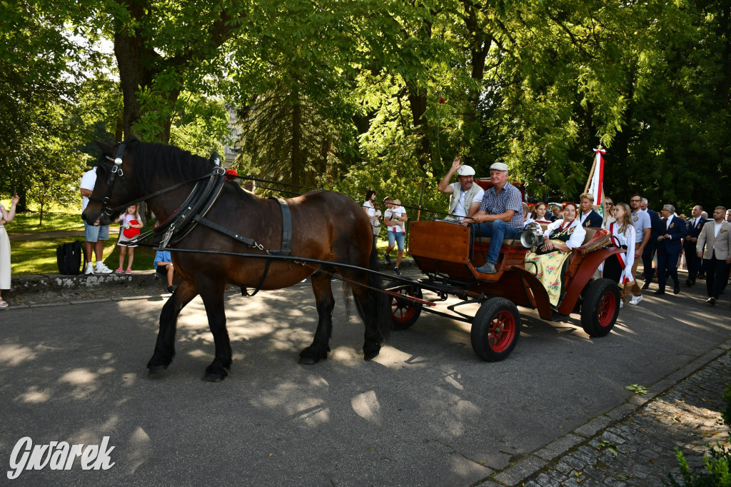 Świerklaniec. Dożynki w parku, pyszności przed pałacem
