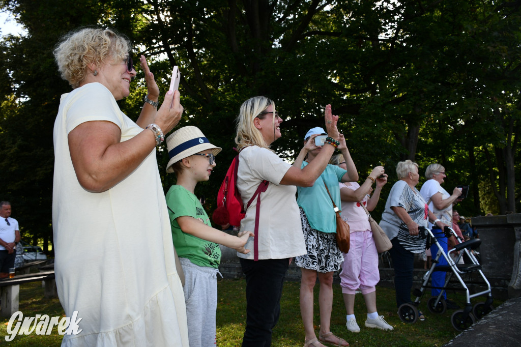 Świerklaniec. Dożynki w parku, pyszności przed pałacem