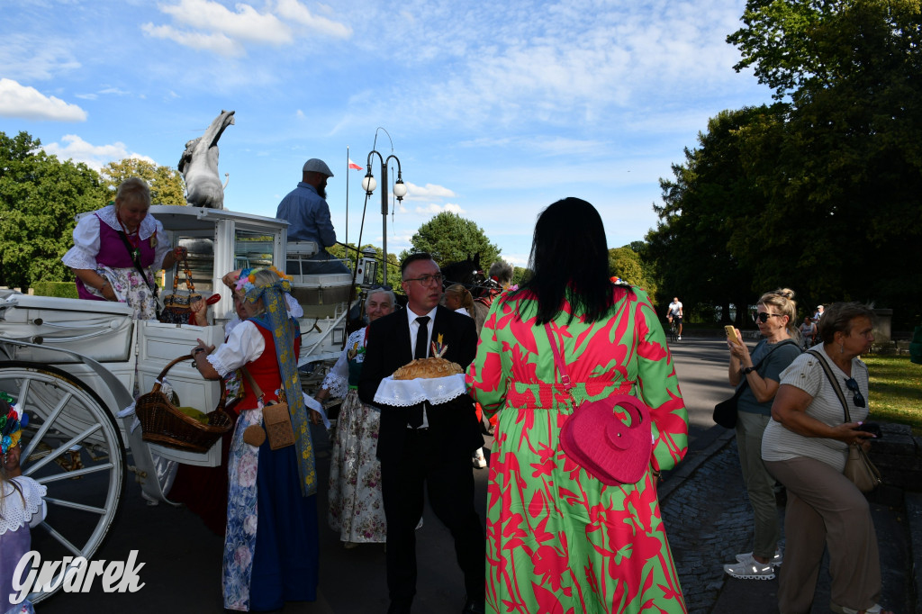 Świerklaniec. Dożynki w parku, pyszności przed pałacem