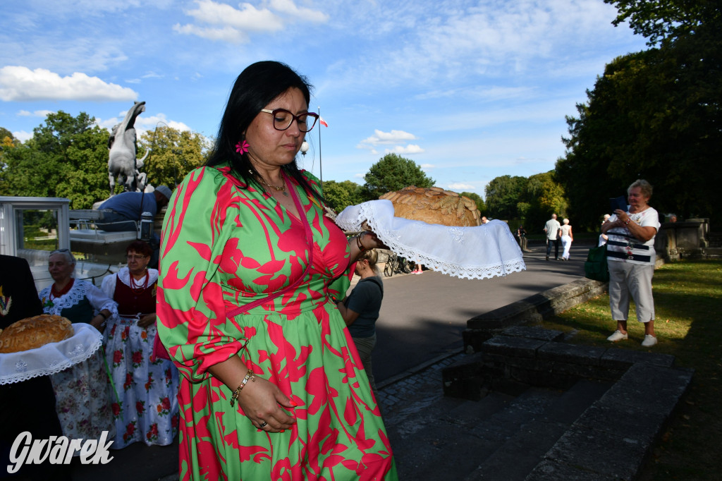 Świerklaniec. Dożynki w parku, pyszności przed pałacem