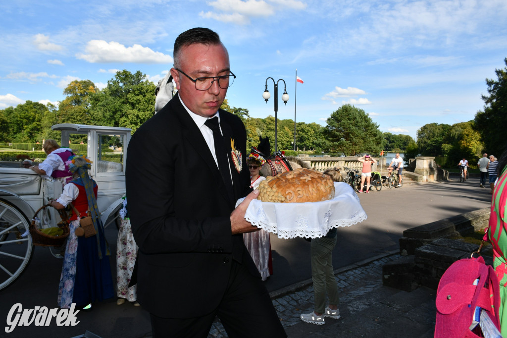 Świerklaniec. Dożynki w parku, pyszności przed pałacem