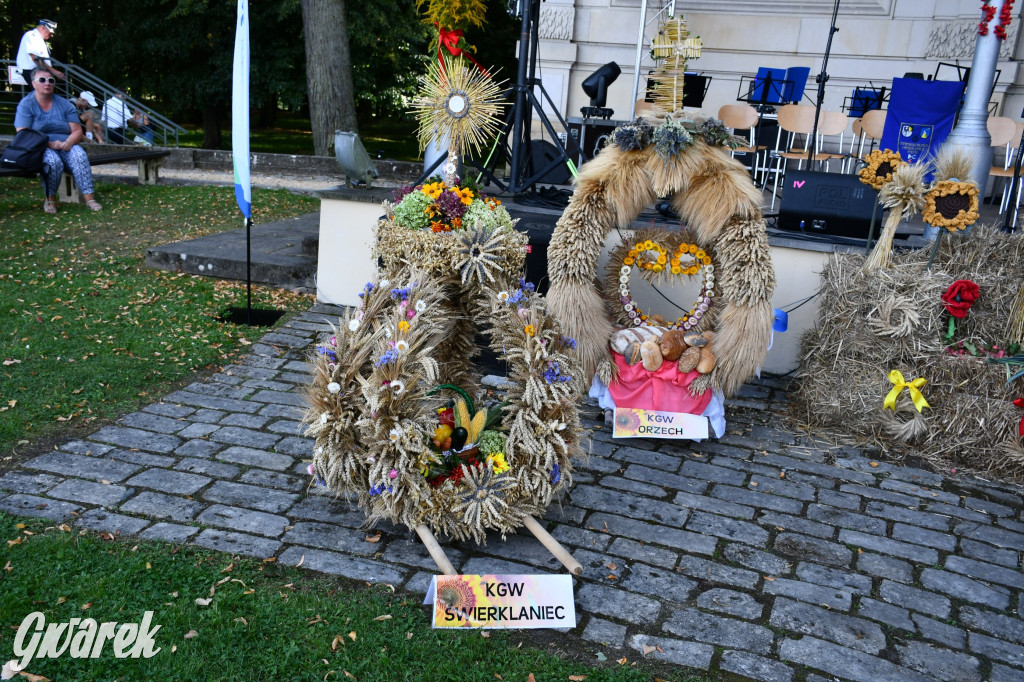 Świerklaniec. Dożynki w parku, pyszności przed pałacem