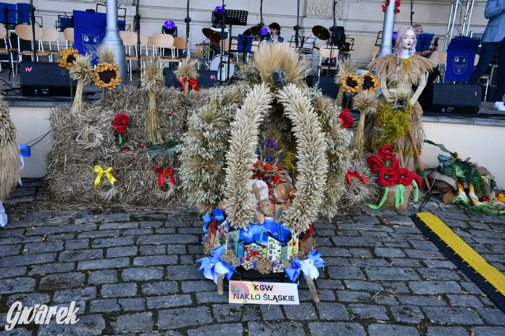 Świerklaniec. Dożynki w parku, pyszności przed pałacem