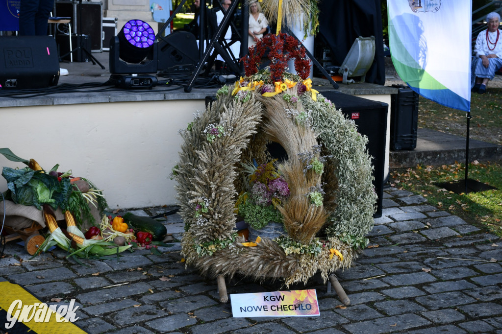 Świerklaniec. Dożynki w parku, pyszności przed pałacem