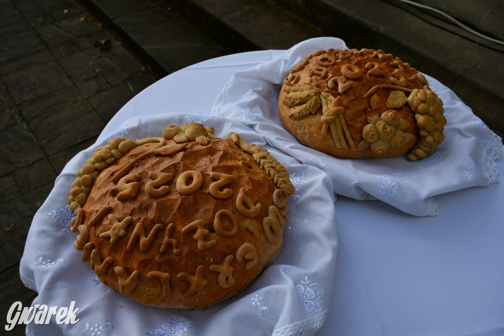 Świerklaniec. Dożynki w parku, pyszności przed pałacem